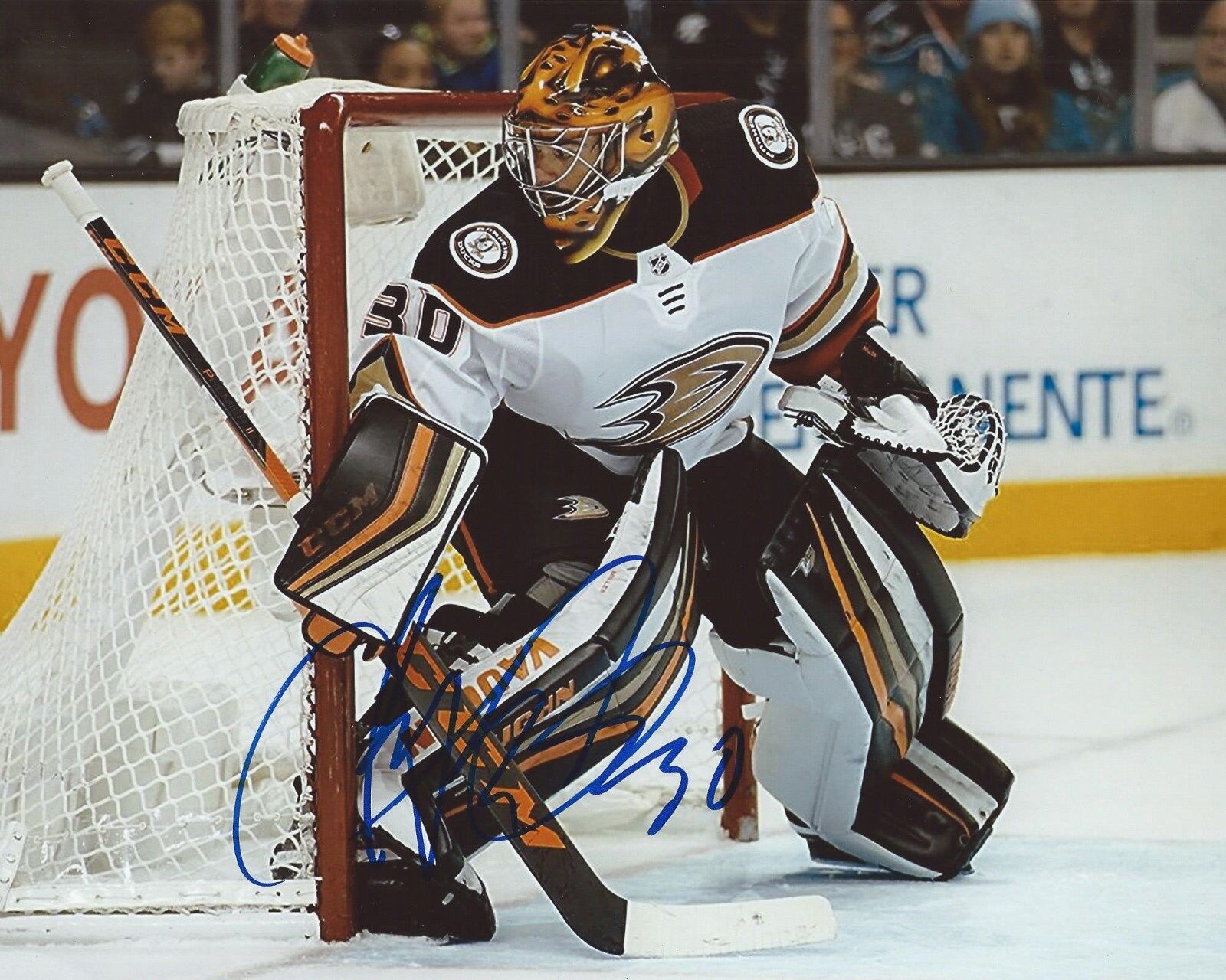 Ryan Miller Signed 8x10 Photo Poster painting Anaheim Ducks Autographed COA B