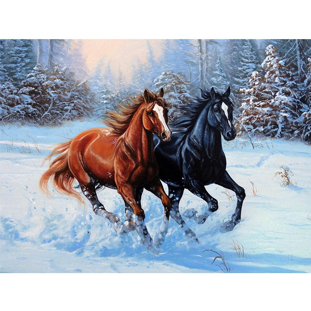 

50*40CM - Square Drill Diamond Painting - Horse, 501 Original