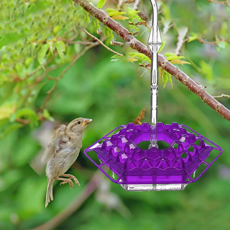 Mary's Hummingbird Feeder With Perch And Built-in Ant Moat - tree - Codlins