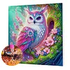Framed Diamond Painting - Special Shaped - Pink Owl (25x25cm)