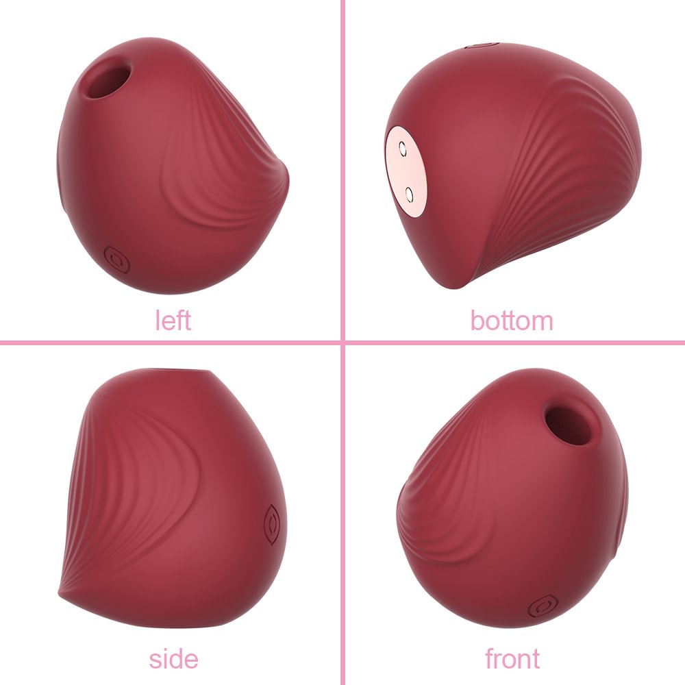 Bird Shape Vagina Sucking Vibrators 