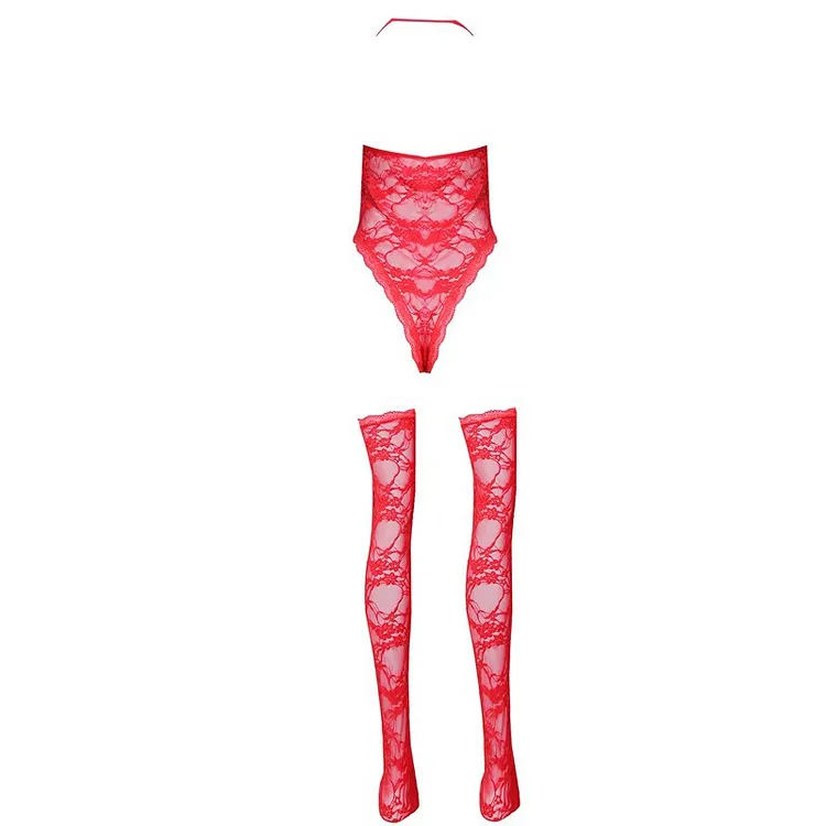 Two Piece Embroidered Lace Garter Teddy and Stockings main image 1