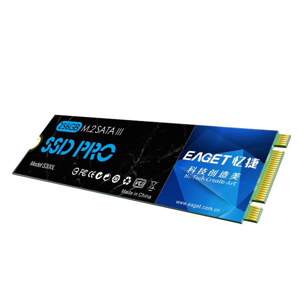 

S300L 256GB M.2 SATA III SSD Internal Solid State Drive for Desktop Laptop, 256g, 501 Original