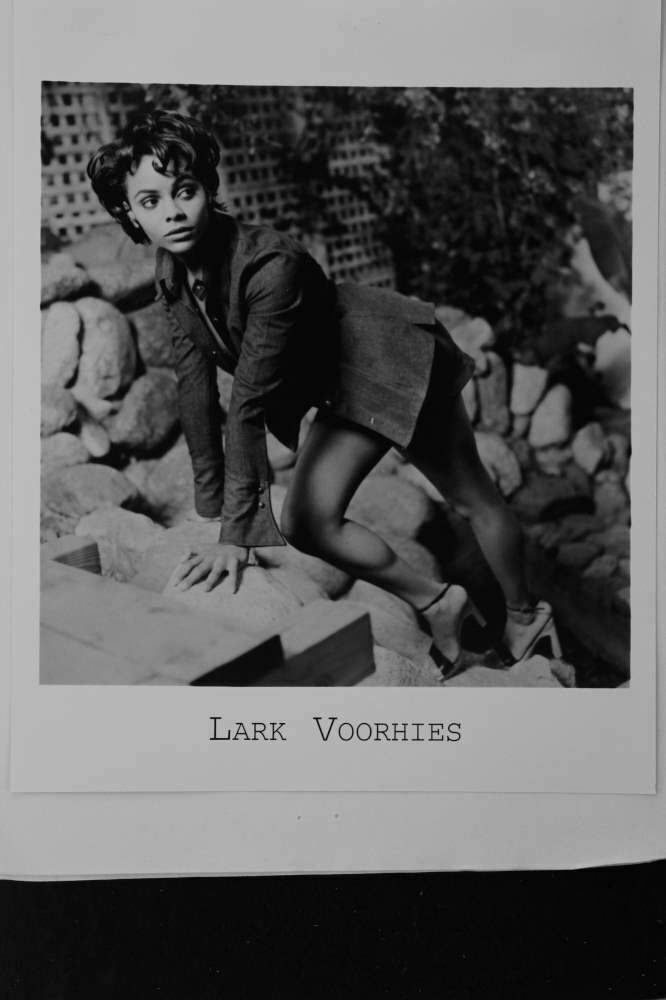 Lark Voorhies - 8x10 Headshot Photo Poster painting with Resume - Saved By The Bell; DOOL