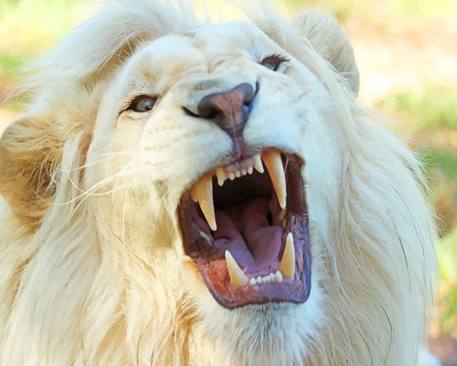 

White Lion – Paint By Numbers - 40*50CM, 501 Original