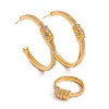 Stylish Rhinestone Twists Golden Ring Earrings