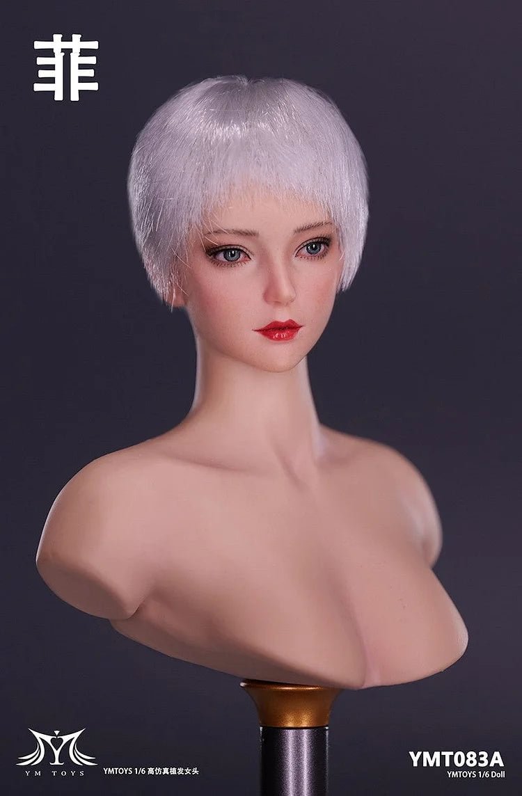 [Pre-Order] 1/6 YMTOYS YMT083 "Fei" head sculpt