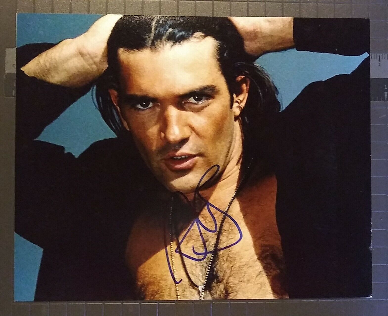 Antonio Banderas signed 8x10