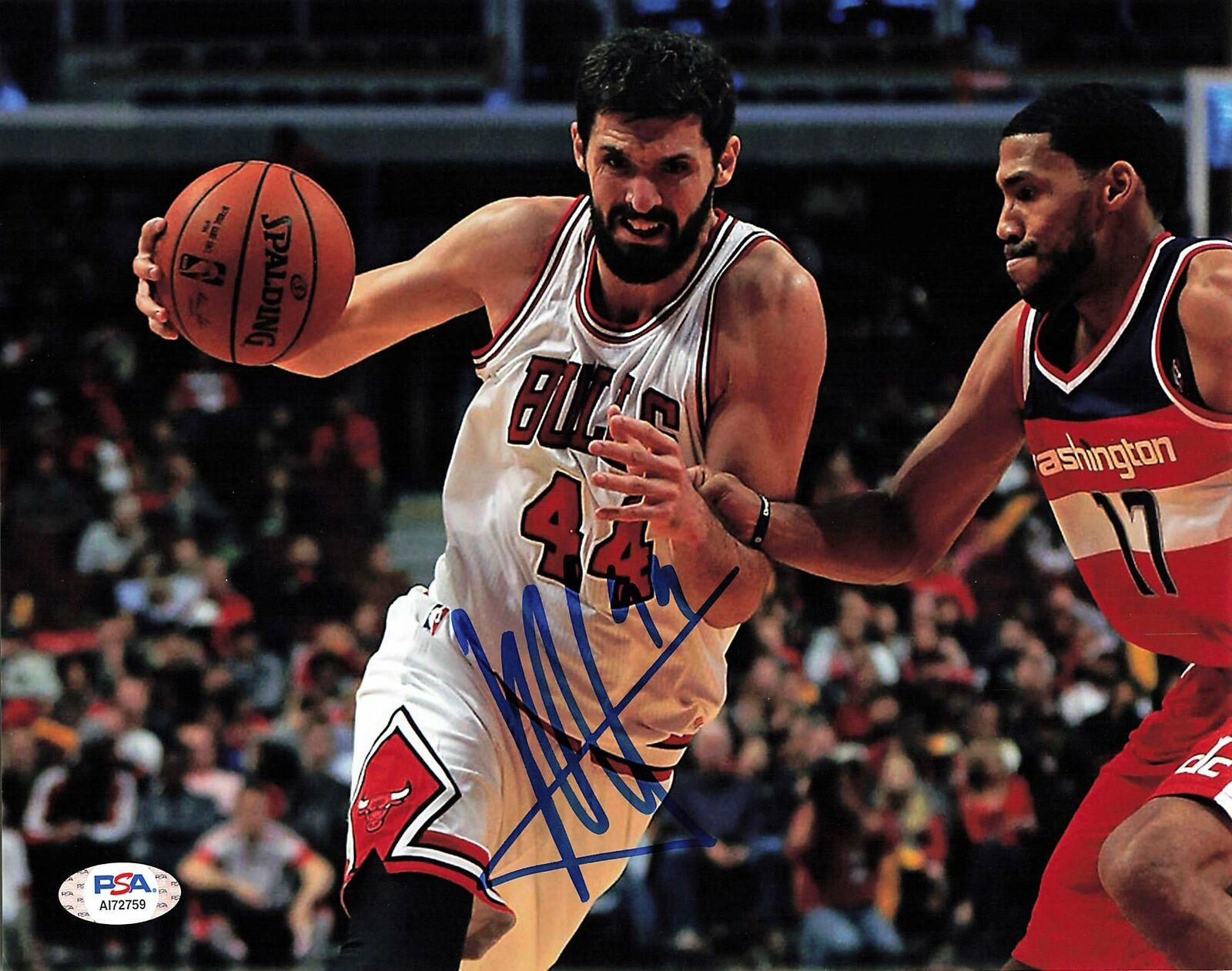 Nikola Mirotic signed 8x10 Photo Poster painting PSA/DNA Chicago Bulls Autographed Bucks