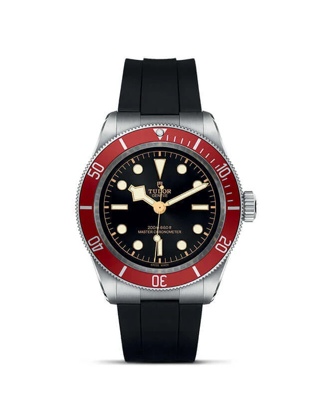Tudor Black Bay