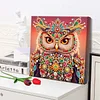 (Pre-Framed)Owl-Special Shape Diamond Painting Kit(29x29cm)
