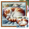 (Stamped/Counted) Cat Sleeping In A Ball-11CT Cross Stitch 40*40cm/15.75*15.75in