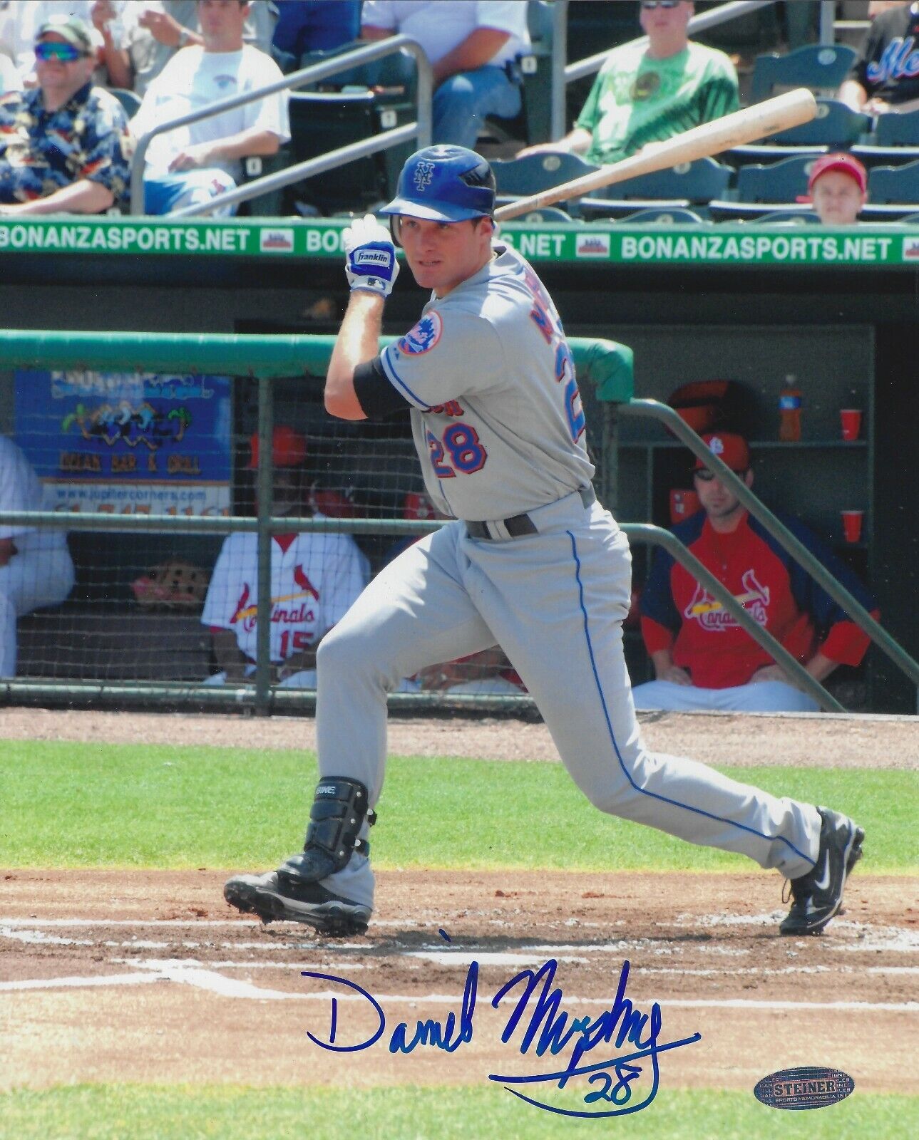 Autographed DANIEL MURPHY New York Mets Autographed 8x10 Photo Poster painting Steiner Hologram