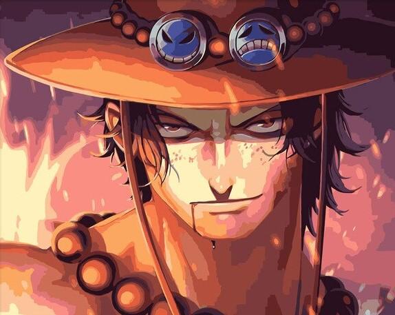 

Ace One Piece – Paint By Numbers - 40*50CM, 501 Original