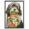 (Multi Style)Butterfly-Partial Embroidery 2 Strands 14CT Stamped Cross Stitch-45*35CM