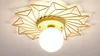 Corridor Light Acrylic Lampshade Ceiling Lamp lampswell