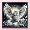 Branches And Owls-11CT Stamped Cross Stitch 40*40cm/15.75*15.75in tapestrymarket