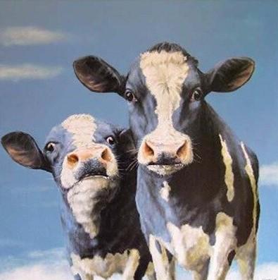 

Cows – Paint By Numbers - 40*50CM, 501 Original