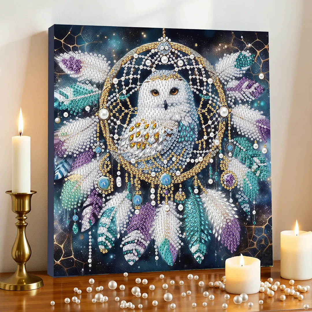 Owl Dreamcatcher DIY Art Craft Pearl Diamond Painting with Frame 9.84x9.84in Diamond Art Pearl Painting Kit for Adults Beginners Gift Idea Home Wall Decor