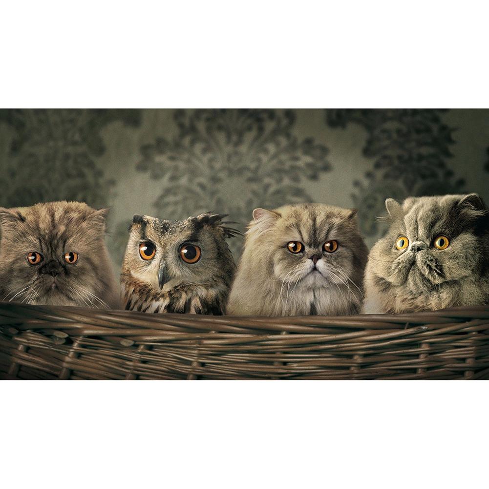 

50x50cm Round Drill Diamond Painting-Cat, 501 Original