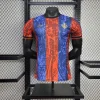2025-2026 Player Version Barcelona Special Edition Football Shirt 1:1 Thai Quality