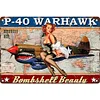 Airplane Girl - Vintage Metal Signs(12*16Inch) - Vehicle
