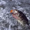 5Pcs Fishing Lures 6g 10g Rotating Metal Vib Vibration Bait Spinner Spoon Lure