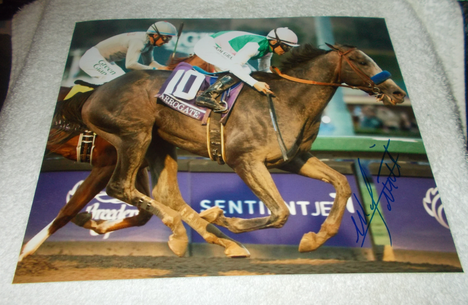 MIKE SMITH ARROGATE BREEDERS CUP CLASSIC SIGNED 8x10 HORSE RACING Photo Poster painting