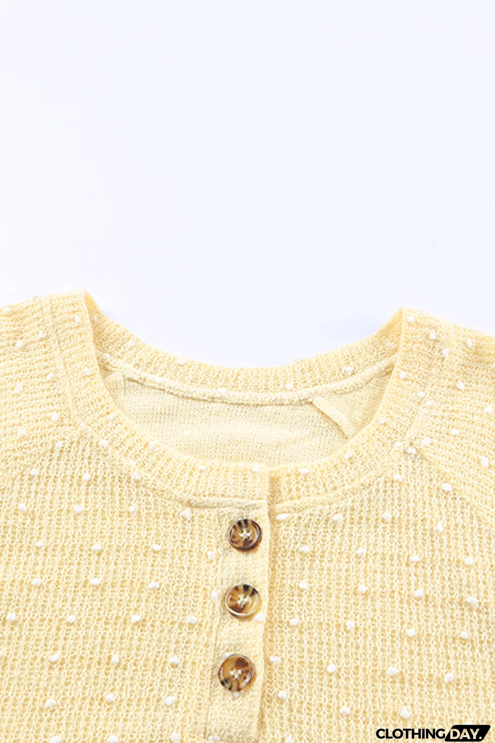 Swiss Dot Raglan Sleeves Knit Top