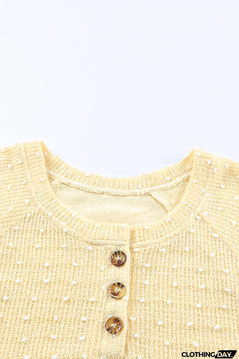 Swiss Dot Raglan Sleeves Knit Top