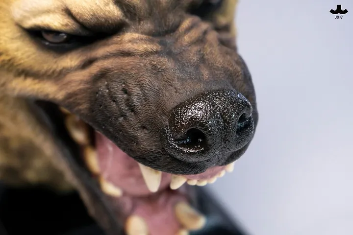 JXK-Statue Aura Plus-Hyena head statue Plus- SAP001