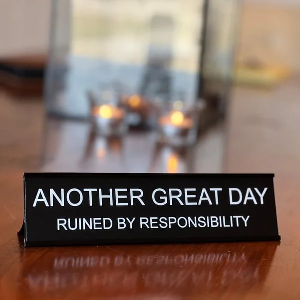 😂Funny Office Decor Sign -Another Great Day
