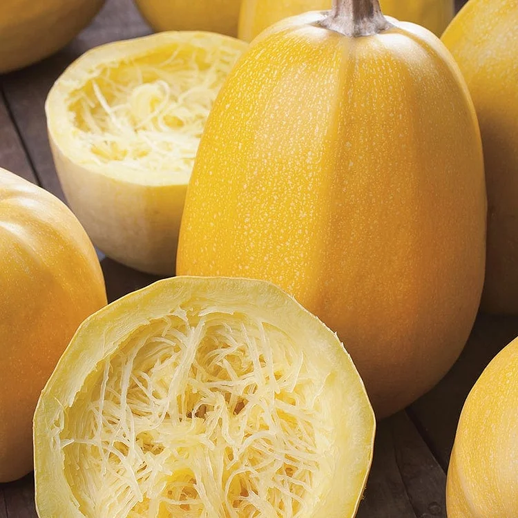 Vegetable Spaghetti, Squash Seeds