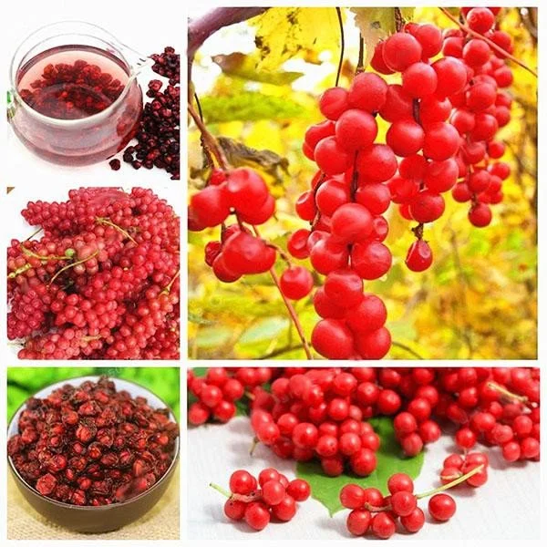 Egrow 50Pcs（100Pcs）/Pack Schisandra Seeds Chinese Magnolia Vine Edible Garden Fruit Tree Seed