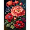 Poppy Flower - 11CT Stamped Cross Stitch - 40*55cm - Flower