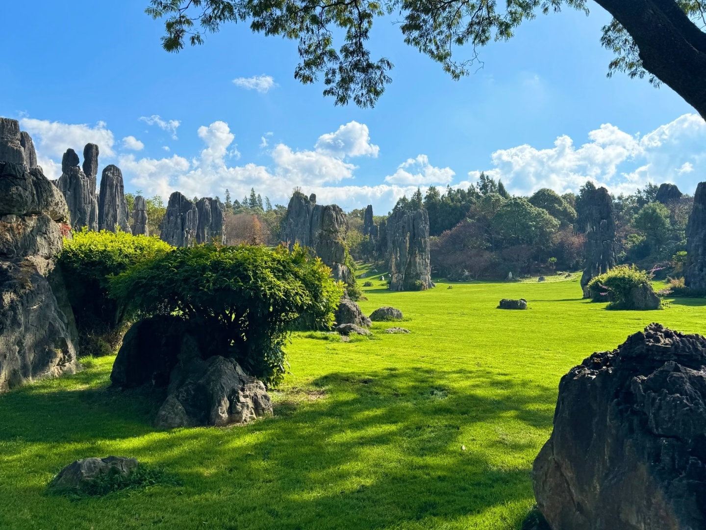 1-Day Private Tour from Kunming: Stone Forest & Jiuxiang Karst Wonders