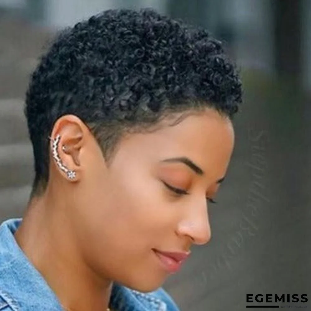 Small Curly Wig Ladies Short Curly Hair High Temperature Silk Chemical Fiber Headgear | EGEMISS