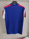2025/2026 Barcelona Special Edition Blue Football Jersey 1:1 Thai Quality