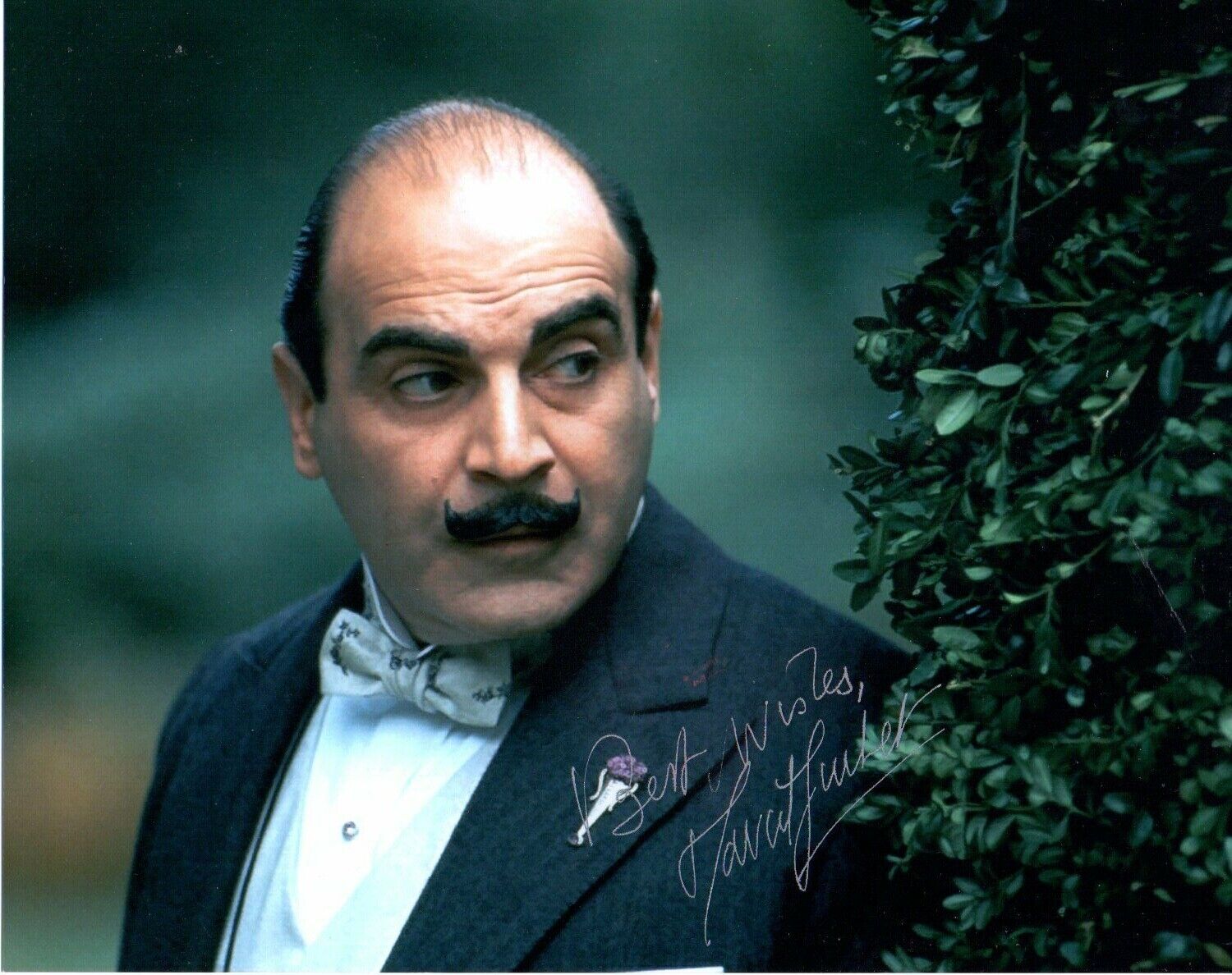 David Suchet Signed 10 by 8 inches Genuine Signature Photo Poster painting Poirot