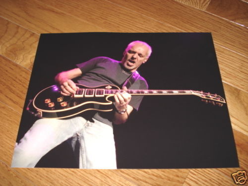 Peter Frampton Cool 8x10 Color Live Promo Photo Poster painting #60