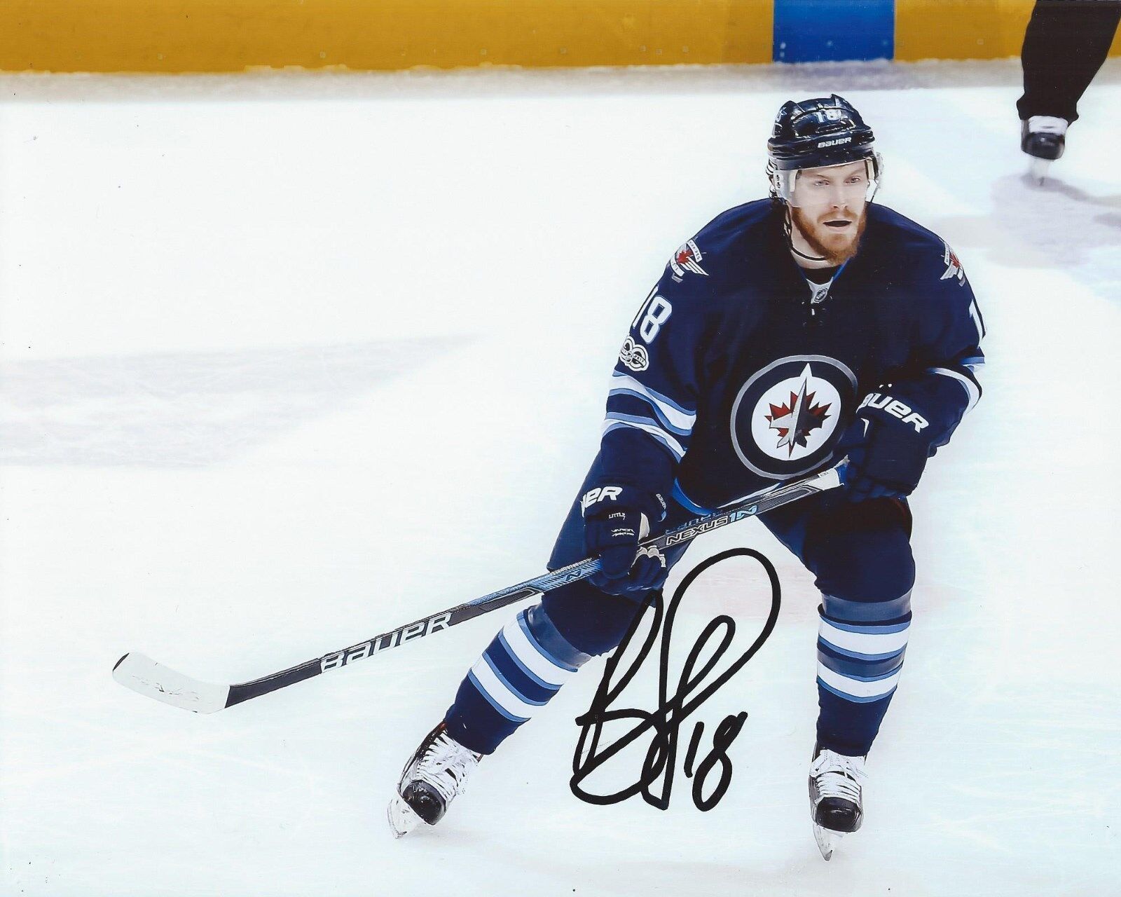 Bryan Little Signed 8x10 Photo Poster painting Winnipeg Jets Autographed COA