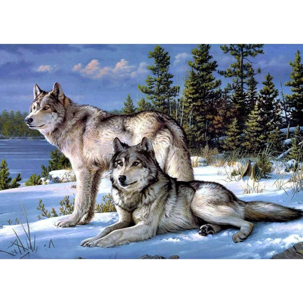 Full Round Diamond Painting Snow Wolves (40*30cm)