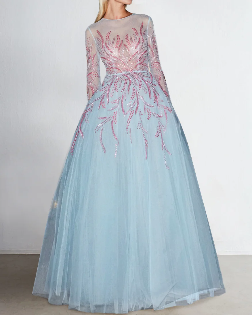 Elegant Sheer Embroidered Dress