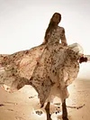 Floral-Print Puff Sleeves Bohemia Maxi Dress
