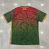 2024 Cameroon Home Football Shirt 1:1 Thai Quality love fball