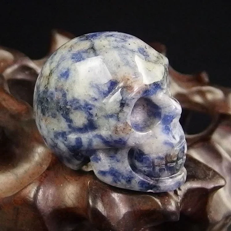 Natural Crystal Skull Halloween Decoration-Sodalite