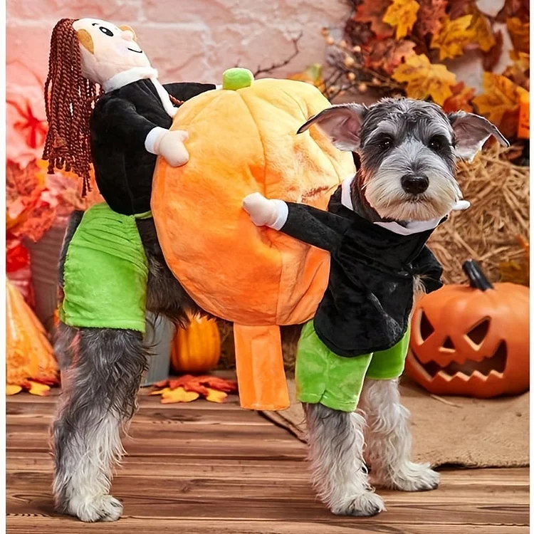 Dog & Cat Pumpkin Halloween Costume 