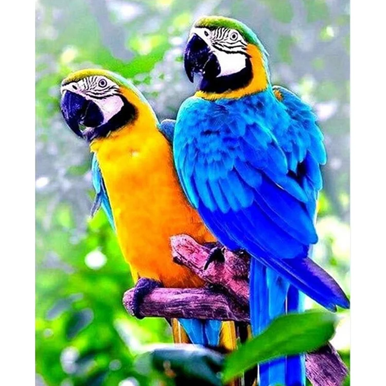 Parrot 14CT Printed Cross Stitch Kits (46*36CM) fgoby