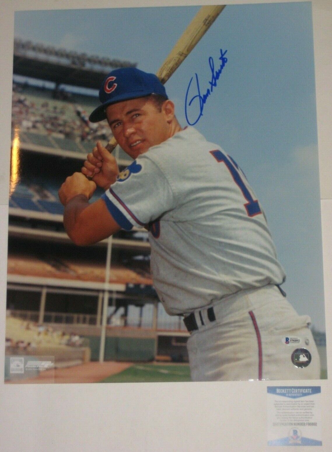 RON SANTO Signed Chicago CUBS 16 x 20 Photo Poster painting with Beckett COA