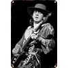 Stevie Ray Vaughan - Vintage Metal Signs - 20*30cm/30*40cm - Music